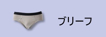 ブリーフ