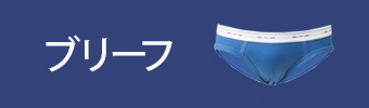 ブリーフ